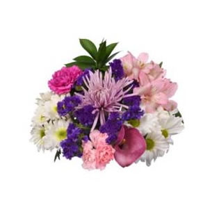 Pre-order for Flowers for the Princess and the Frog
