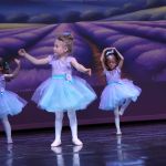 2025 show 1 and 2 img 4520