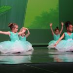 2025 show 1 and 2 img 4572