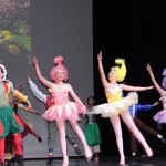 2025-wizard-of-oz-show-3-and-4-img 5320